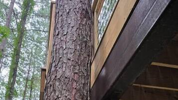 Un tronco de árbol adosado a una estructura de madera con un soporte de metal.