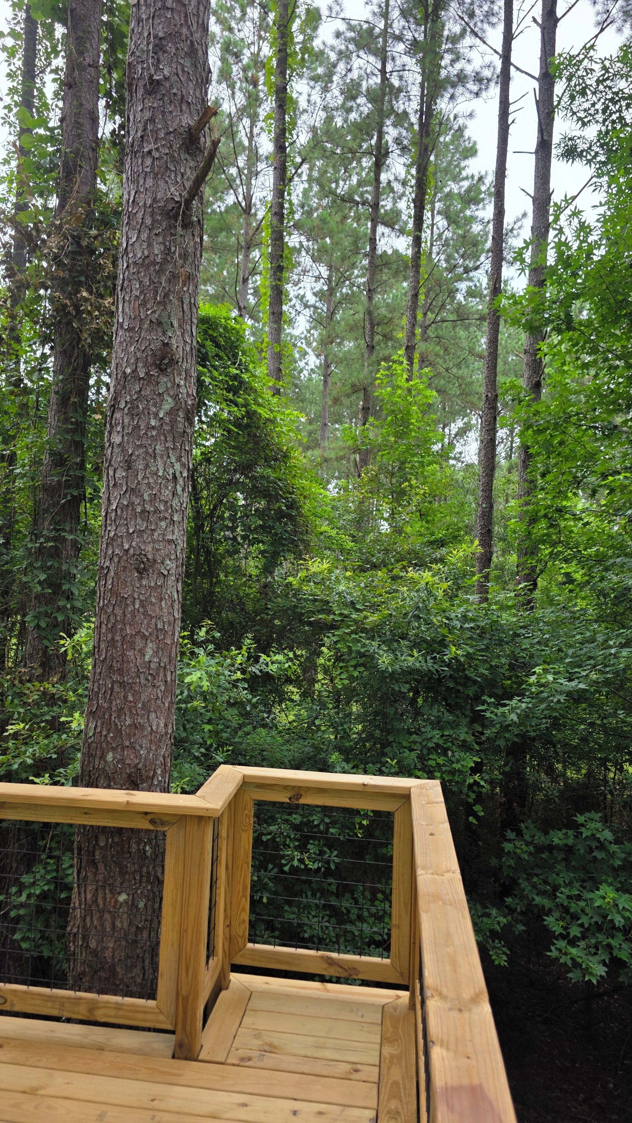Una terraza de madera con barandilla metálica, rodeada de un bosque denso.