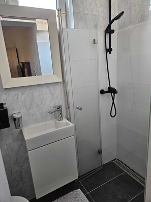 A modern bathroom with a white sink, a mirror, and a shower enclosure.