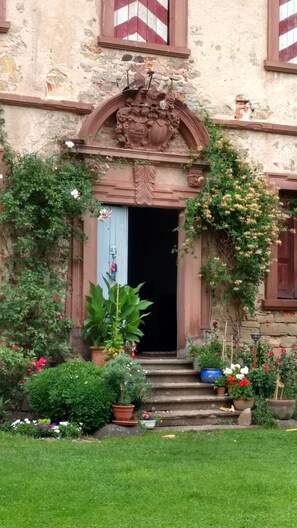 A building with a stone facade, a wooden door, and a small garden with potted plants and flowers.