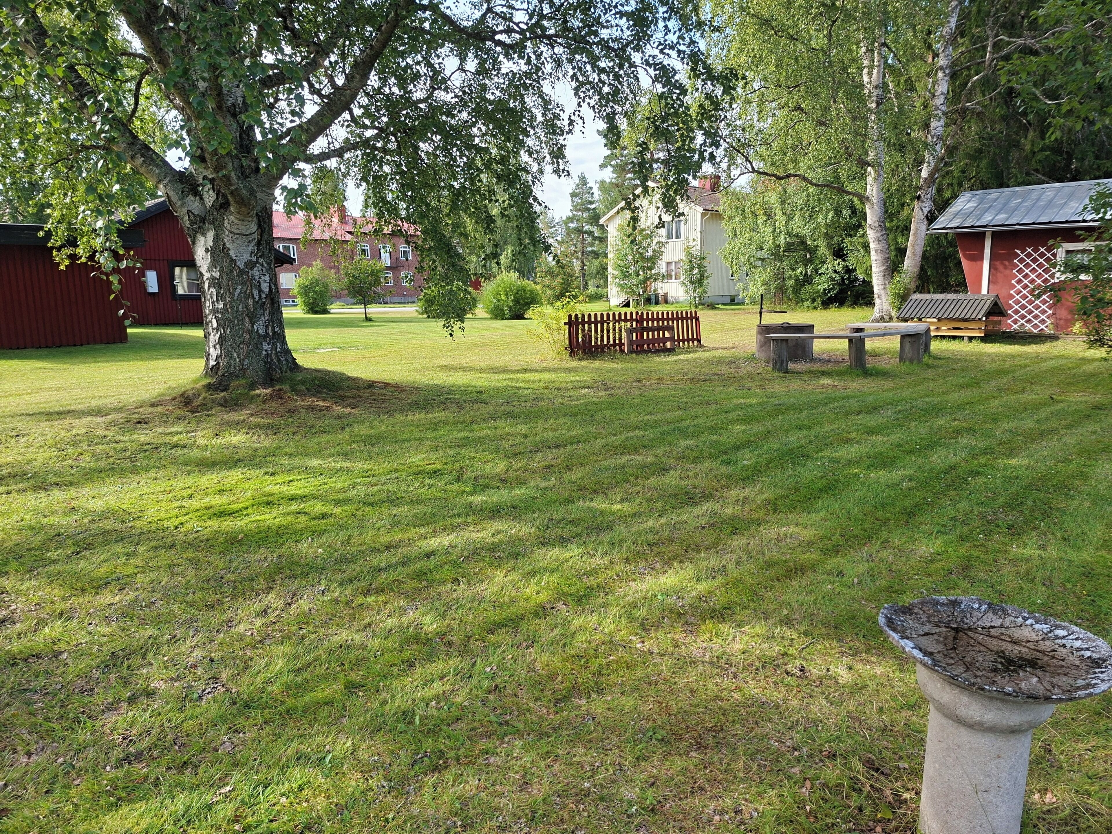 Ruohikkoalue ulkona, jossa on puinen penkki, lintulähde ja taustalla punainen rakennus.