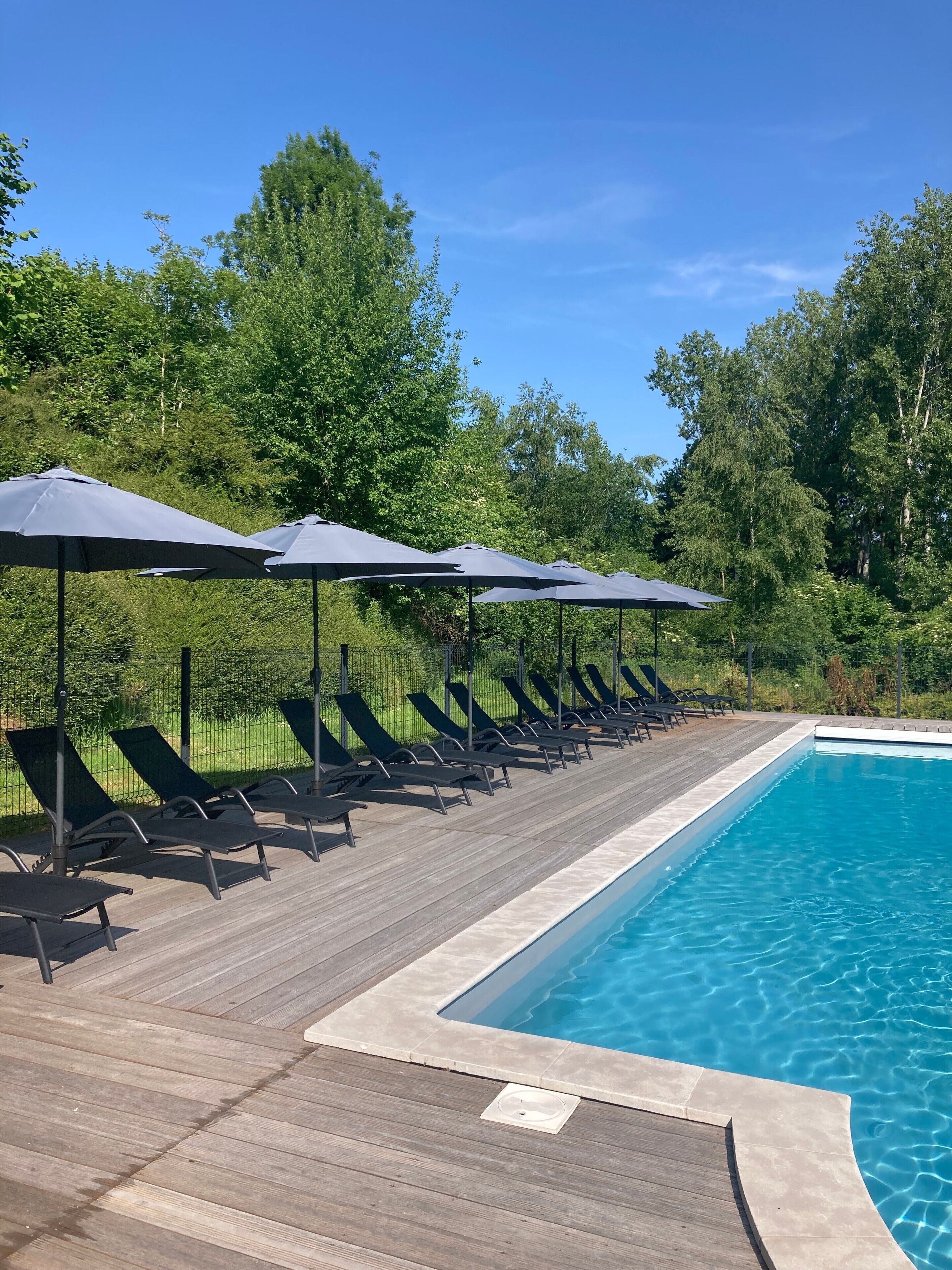 Ein Poolbereich mit Liegestühlen und Sonnenschirmen, umgeben von Bäumen.