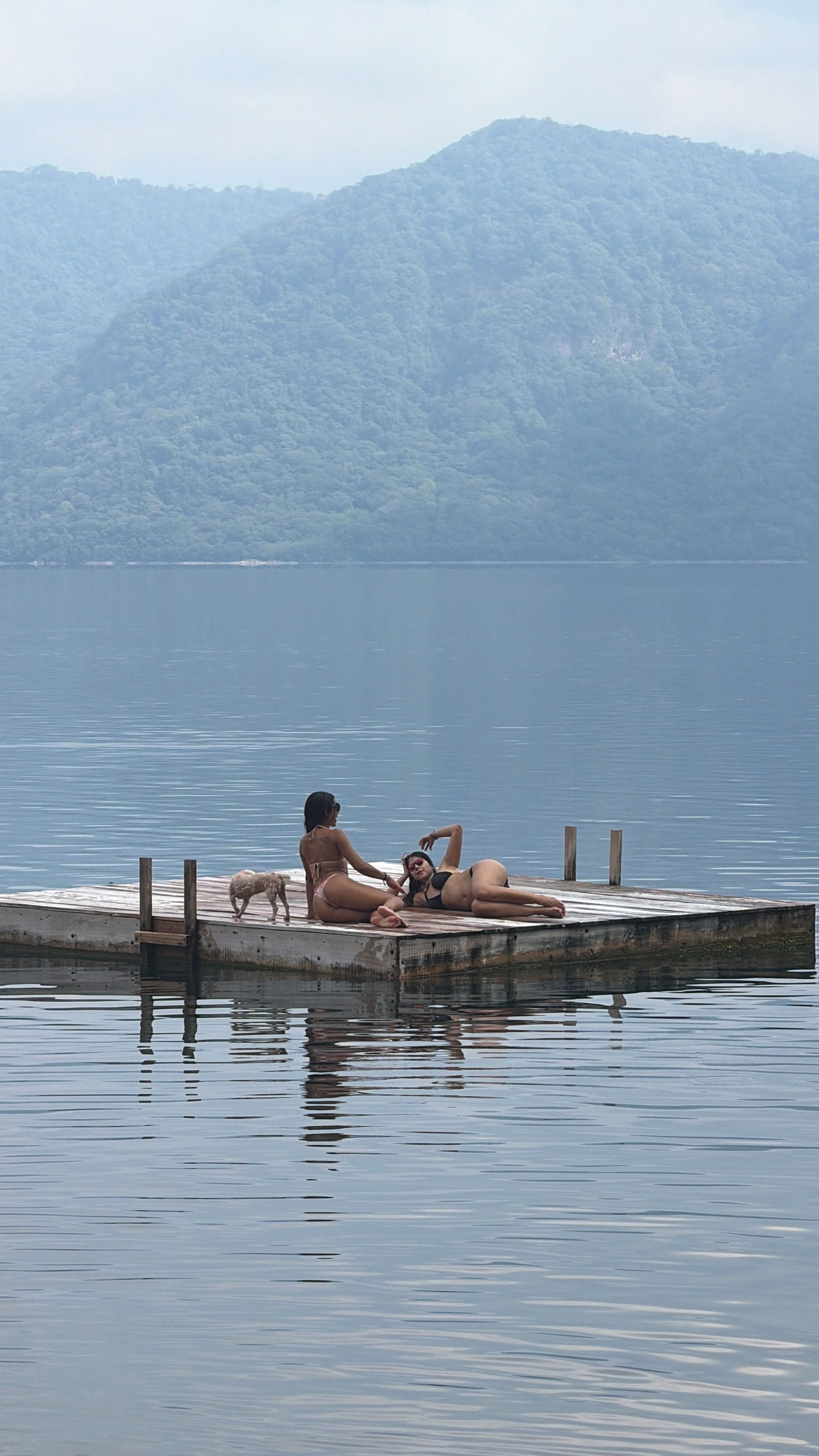 A calm lake with a wooden dock extending into the water.