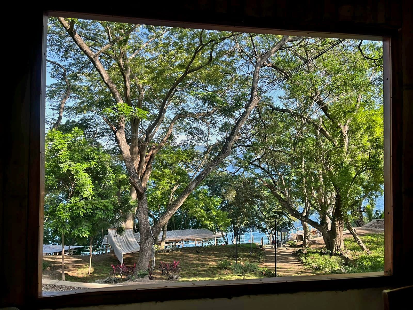 A view through a window of a tree-lined area with a pathway and a structure in the background.