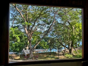 A view through a window of a tree-lined area with a pathway and a structure in the background.