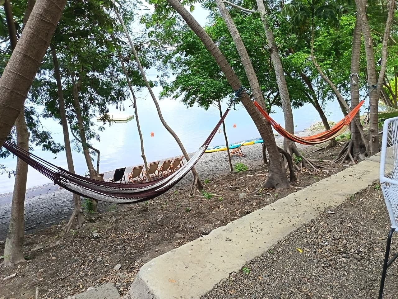 A hammock tied between trees, a concrete pathway, and a view of the water.