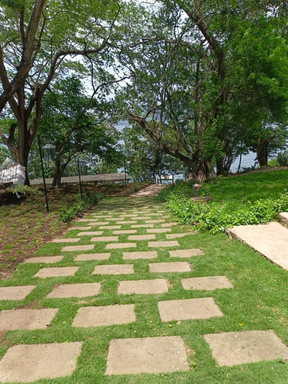 A paved pathway with grass in between, surrounded by trees and a body of water in the background.