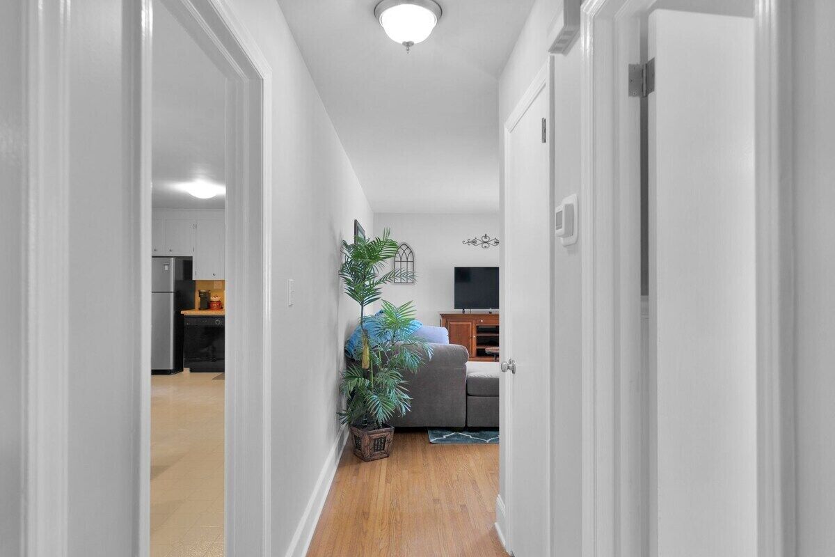 A hallway leading to a living area with a sofa, a potted plant, and a television.