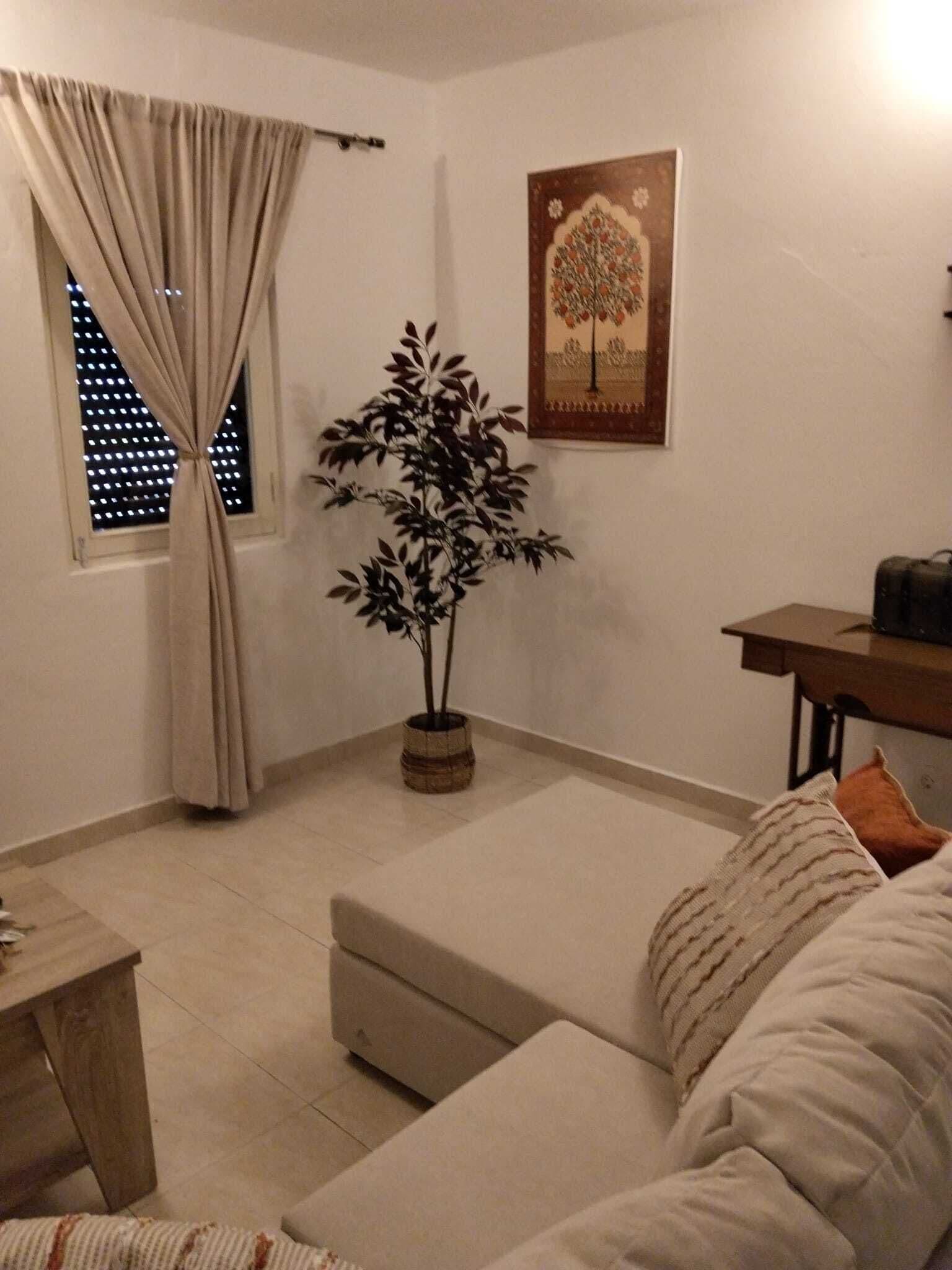 A living room with a sofa, a potted plant, a table, and a window with curtains.