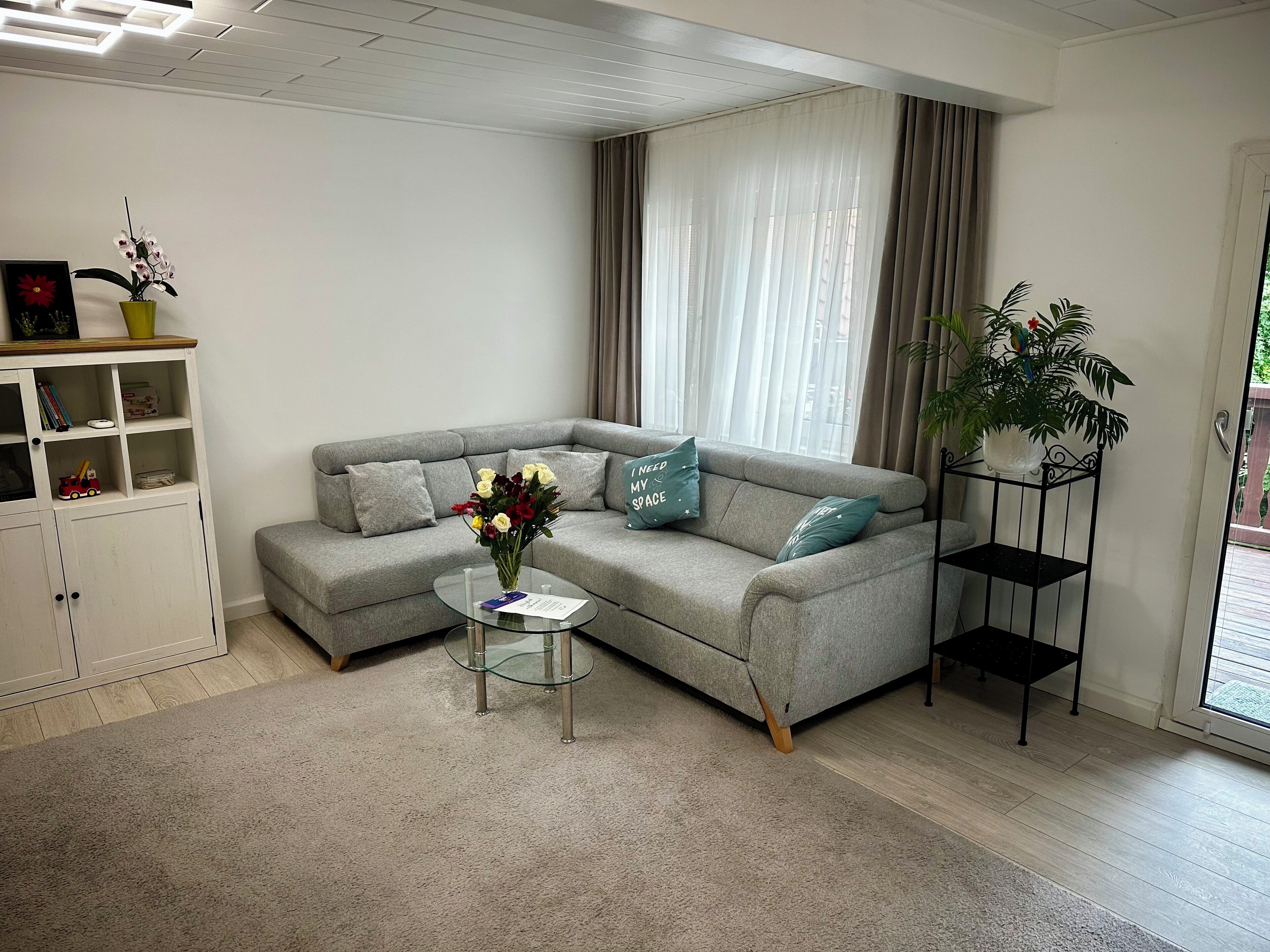 Ein Wohnzimmer mit grauem Sofa, einem Glastisch, einem Bücherregal und einem Blumentopf.