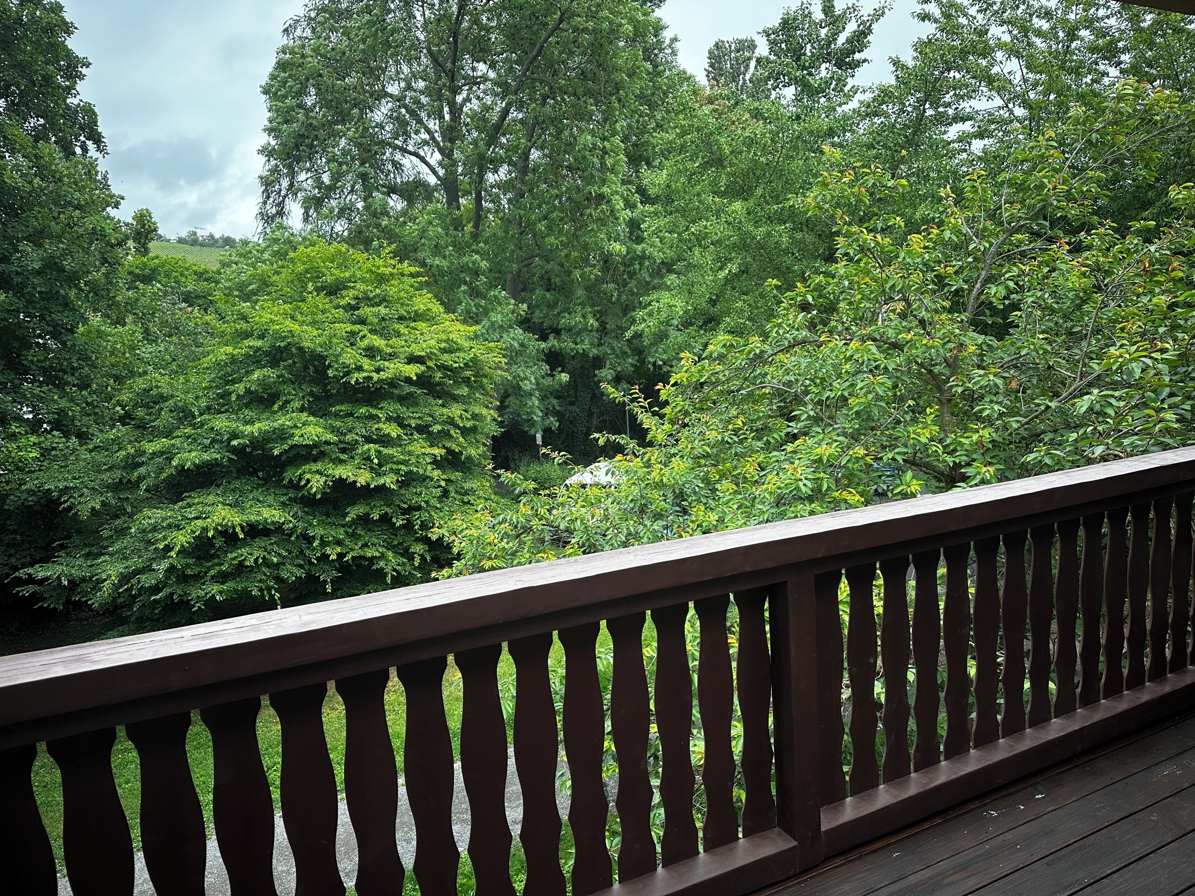 Eine Holzterrasse mit Geländer, die einen üppigen, grünen Landschaftsbereich mit Bäumen und einer Hügelkette im Hintergrund überblickt.