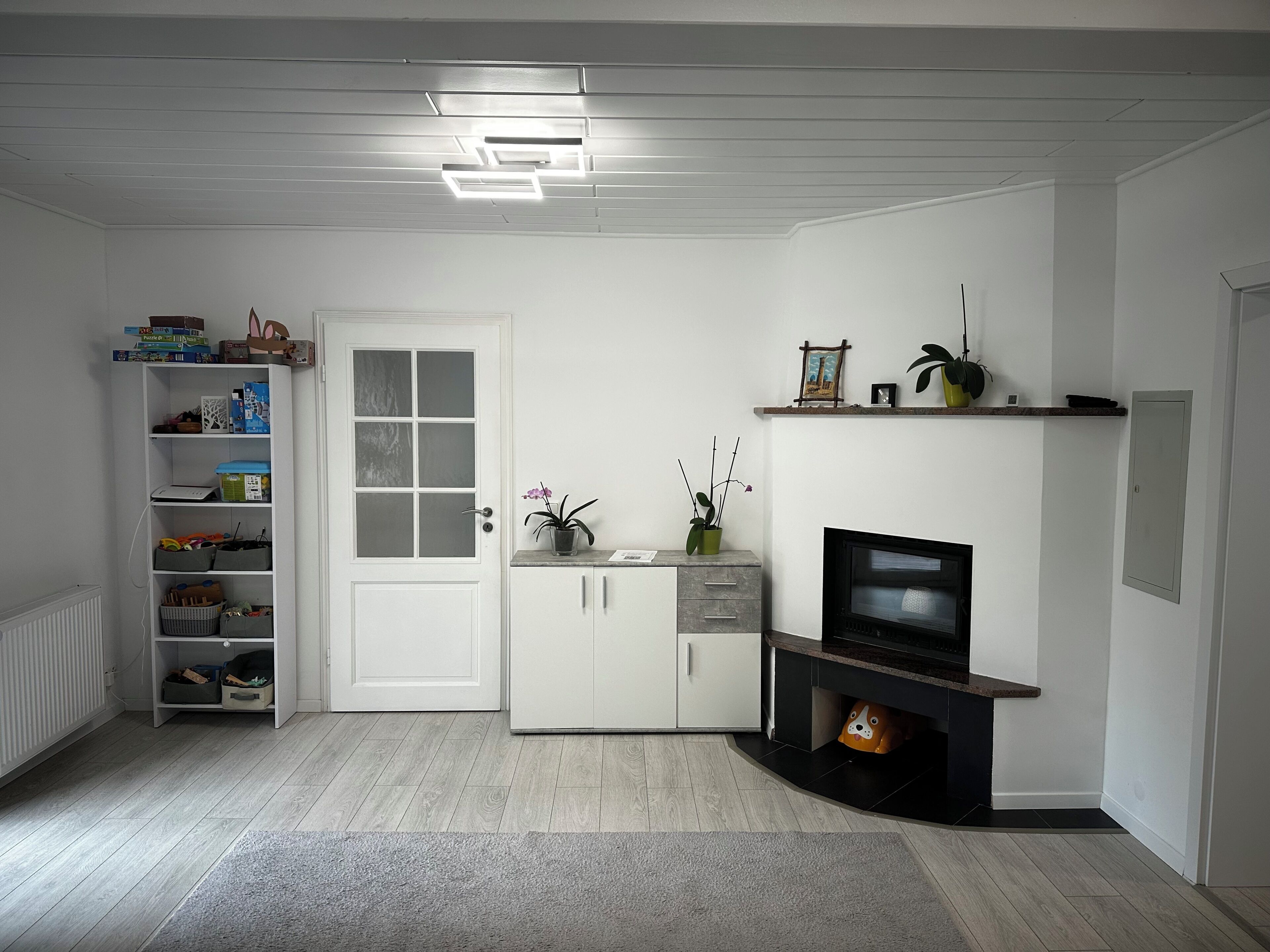 A room with a white door, a fireplace, a TV, a shelf with items, and a radiator.