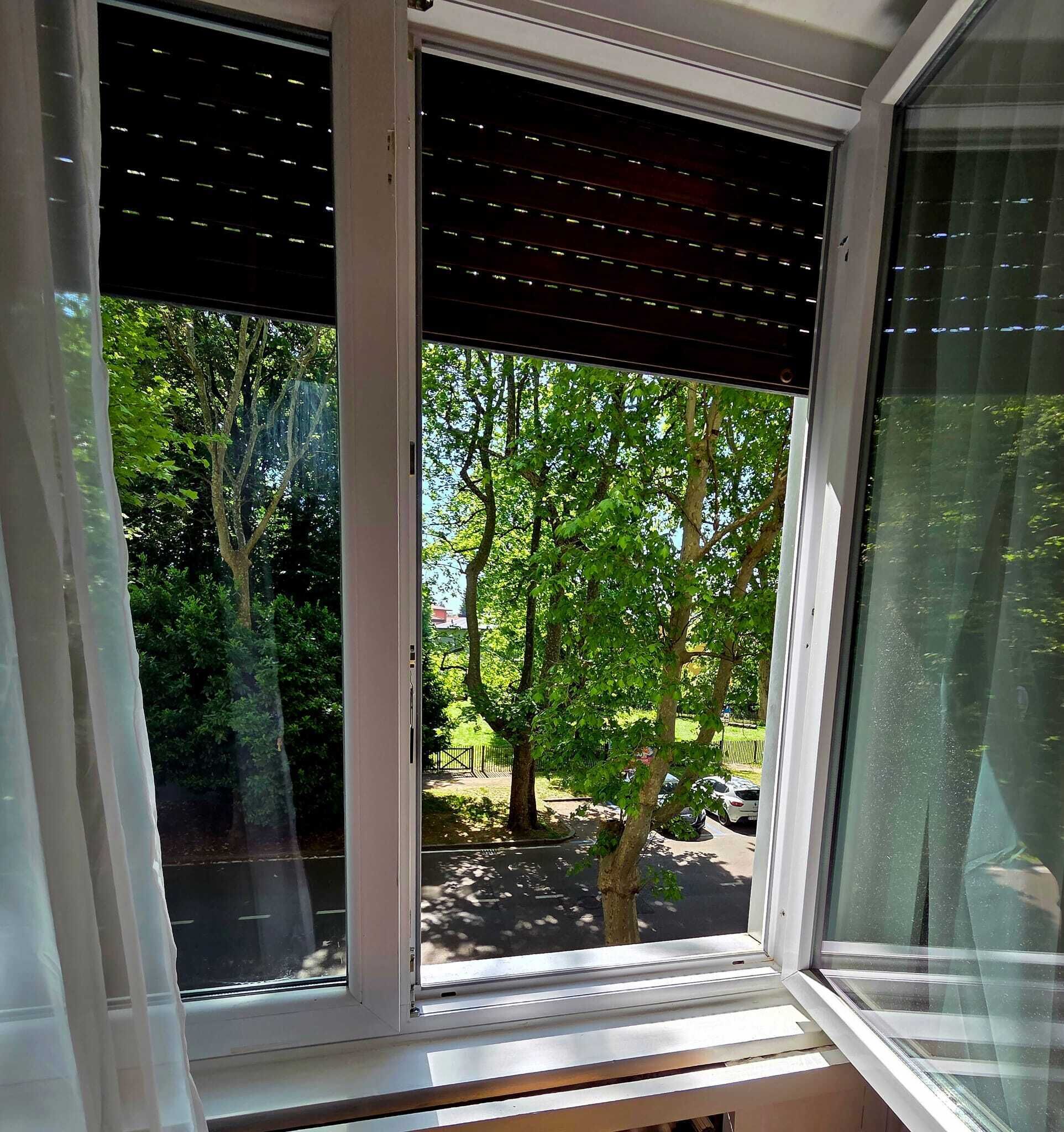 A window with a view of trees and parked cars outside.