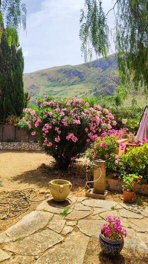 Ein Garten mit einem Kiesweg, einem großen Strauch mit rosa Blüten und einer Bergkulisse.