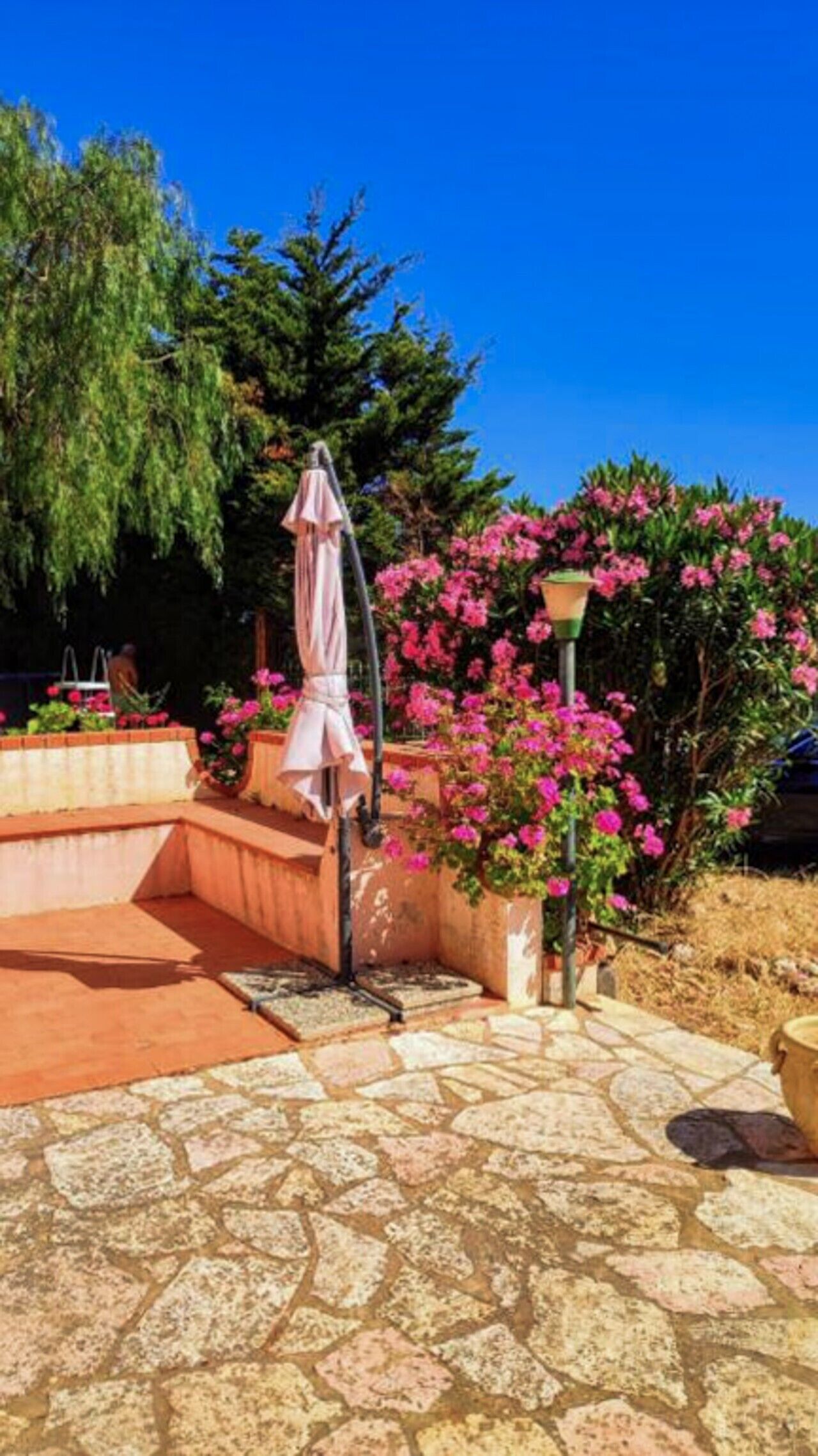Une terrasse avec un sol en pierre, un parasol rose et des arbustes à fleurs roses.