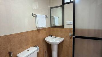 Bidet, towels, soap, toilet paper