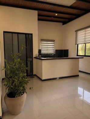A modern kitchen with a central island, a sliding glass door, and a large potted plant.