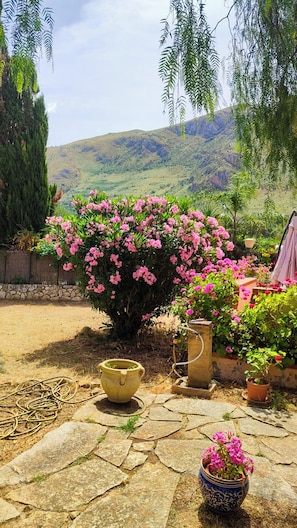 A garden with a large flowering bush, a stone pathway, and a view of a hilly landscape. - Gisella's House (Sicilia)