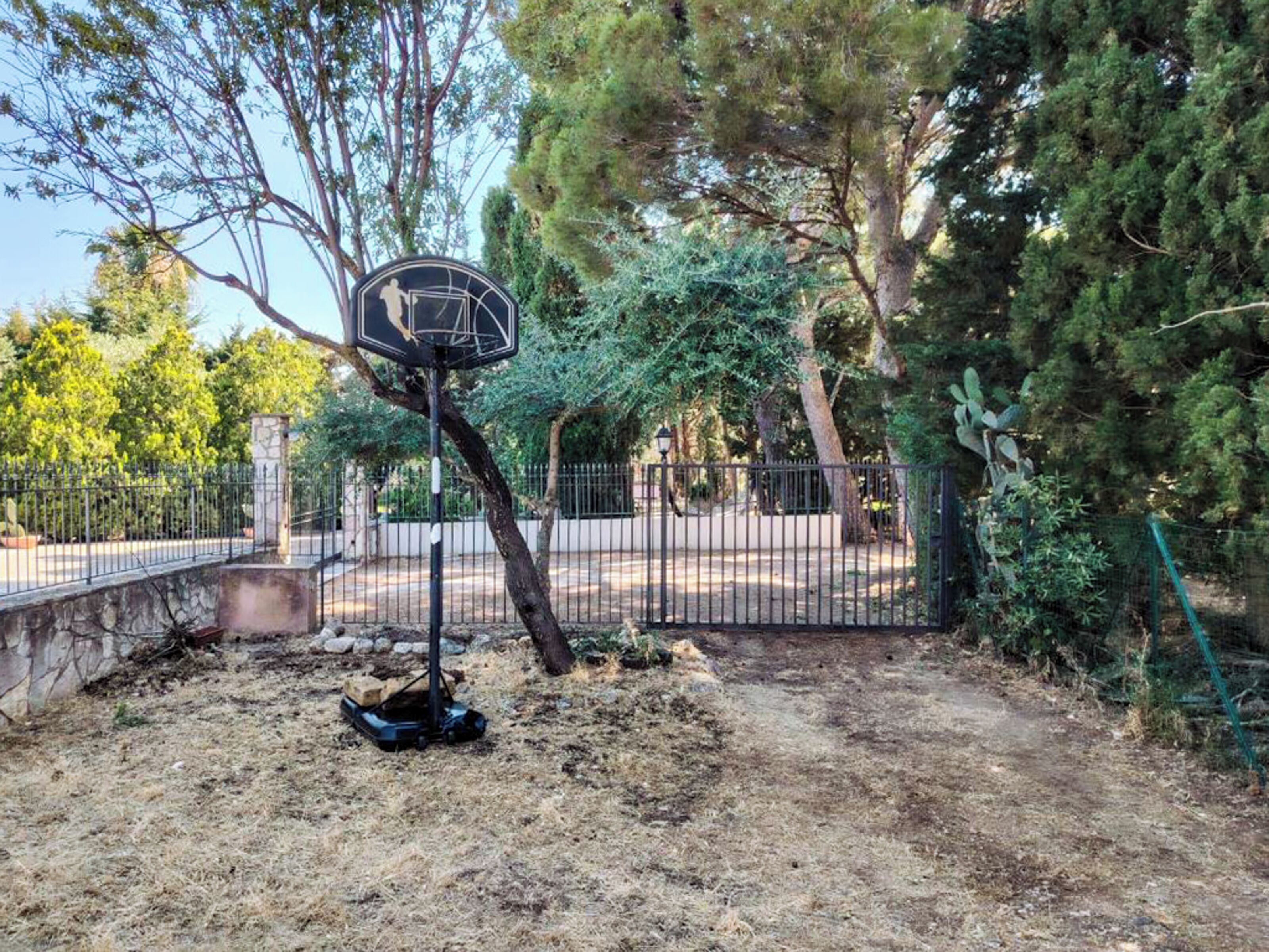 A basketball court with a hoop, surrounded by trees and a fence.