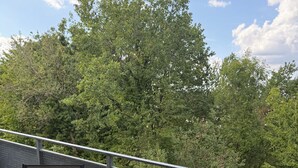 Ein Balkon mit einem Glastisch und zwei Stühlen, einer davon mit einem gemusterten Kissen.