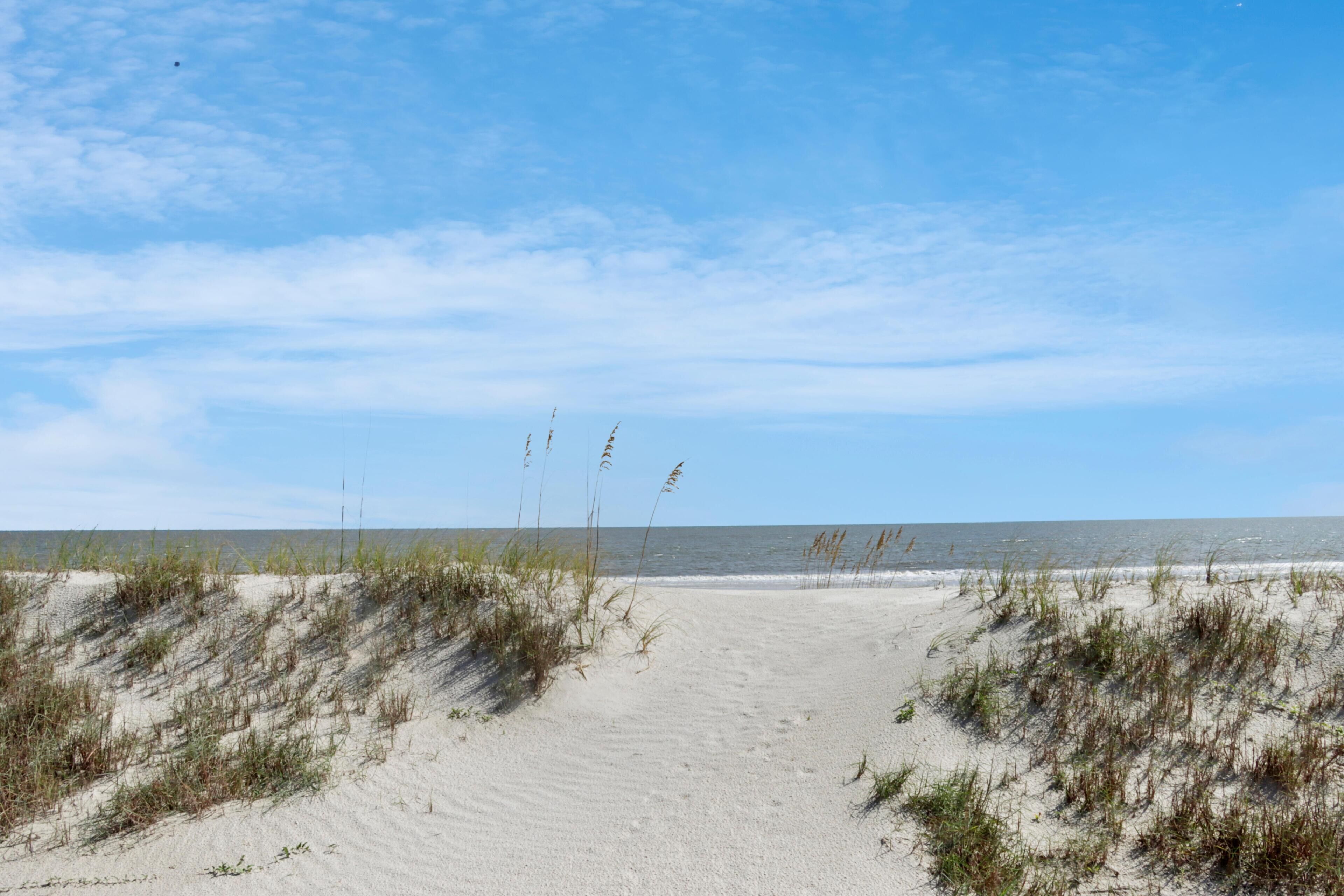 Ein sandiger Pfad am Strand, der zum Meer führt, mit vereinzelter Vegetation.