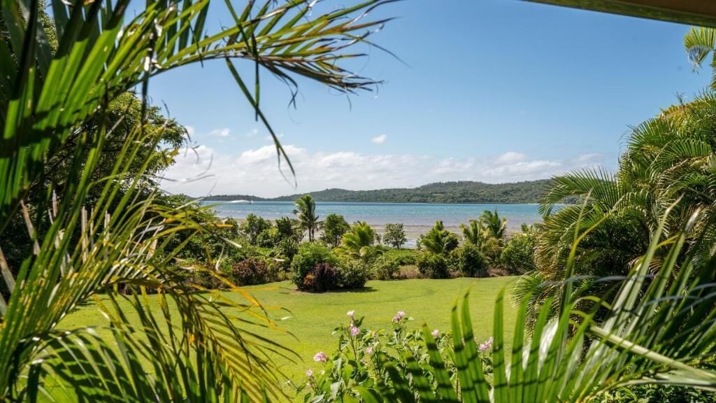 Ein tropischer Garten mit Blick auf einen Strand und ein Gewässer.