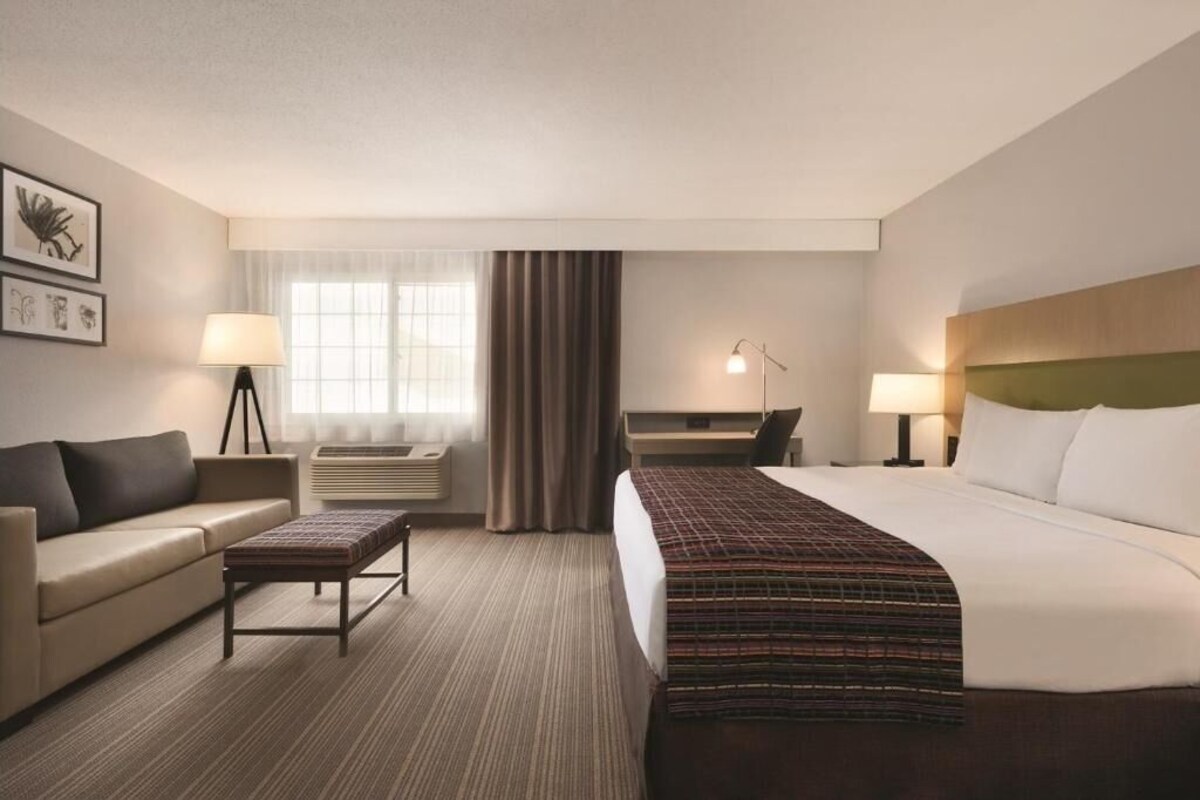 Presidential Single Room, 1 King Bed with Sofa bed
