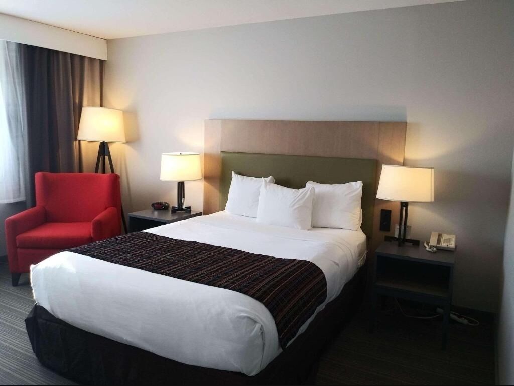 Standard Single Room, 1 Queen Bed | Blackout drapes, iron/ironing board, WiFi (free), bed sheets