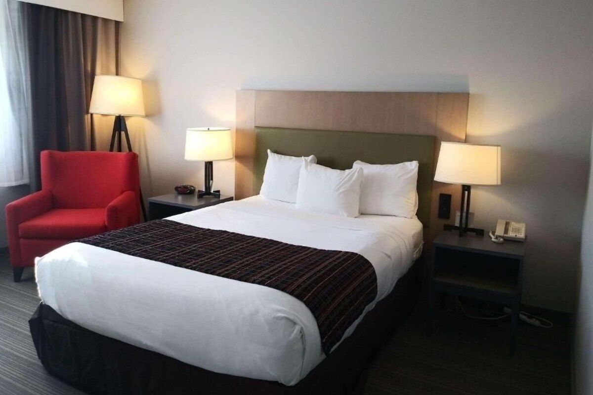 Standard Single Room, 1 Queen Bed
