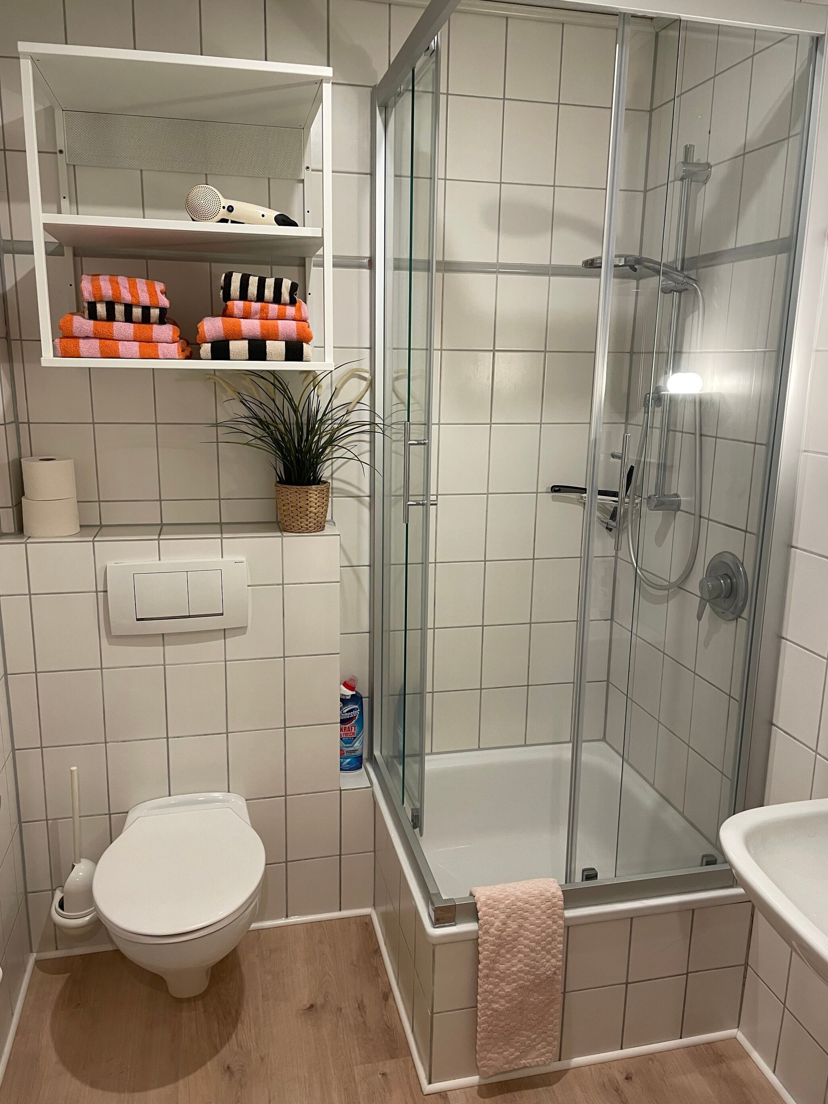 Ein Badezimmer mit Toilette, einer Duschkabine mit Glastür, einem Ablagefach mit Handtüchern und einer Topfpflanze.