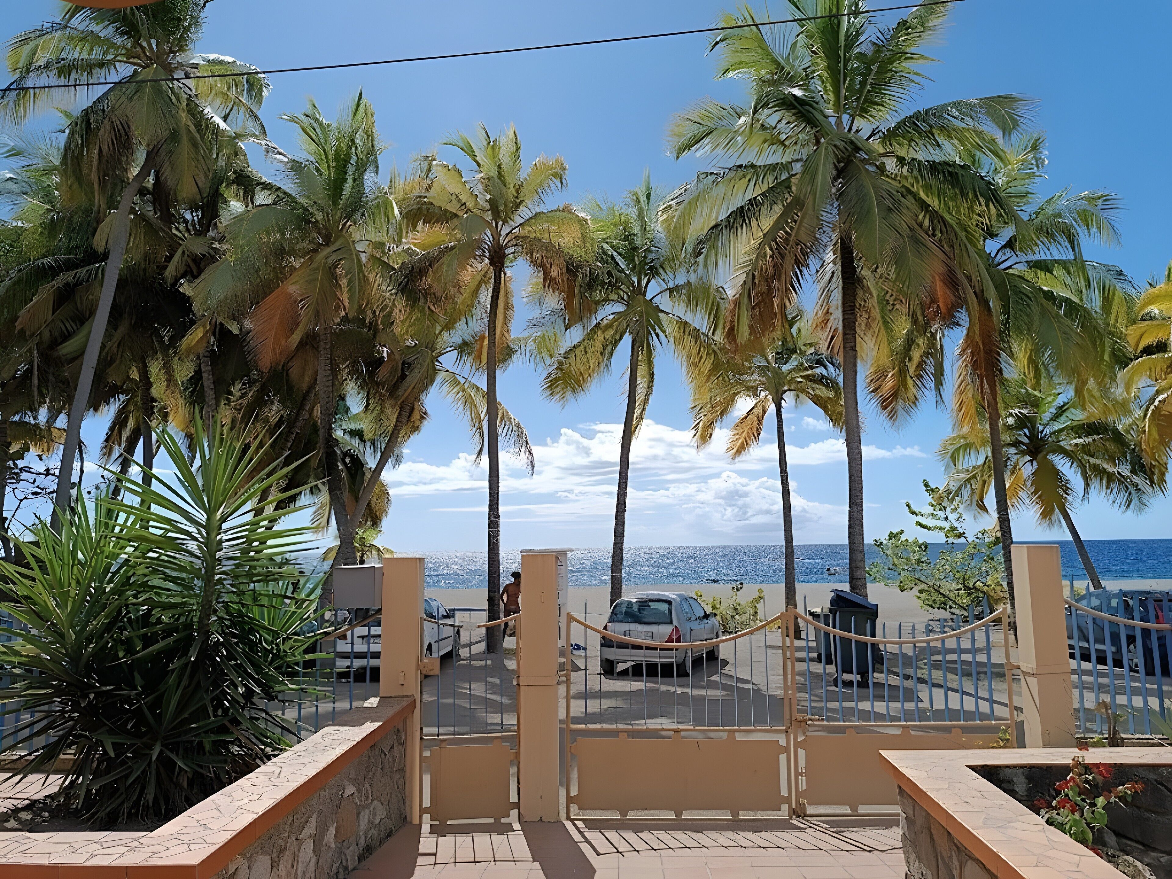 Une entrée fermée par un portail, bordée de palmiers et offrant une vue sur la mer.