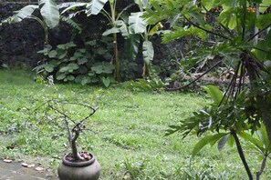 A garden with a potted plant in the foreground and various greenery in the background. - Mansion with a private garden in downtown Tepoztlán (pet-friendly) (Tepoztlán)