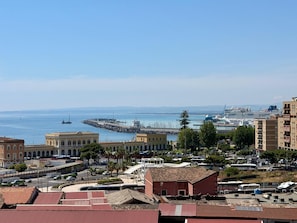 Un paisaje urbano costero con edificios, un puerto deportivo y un crucero amarrado.