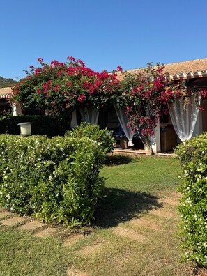 A courtyard with a building, a pergola covered with flowering plants, and a well-maintained lawn.