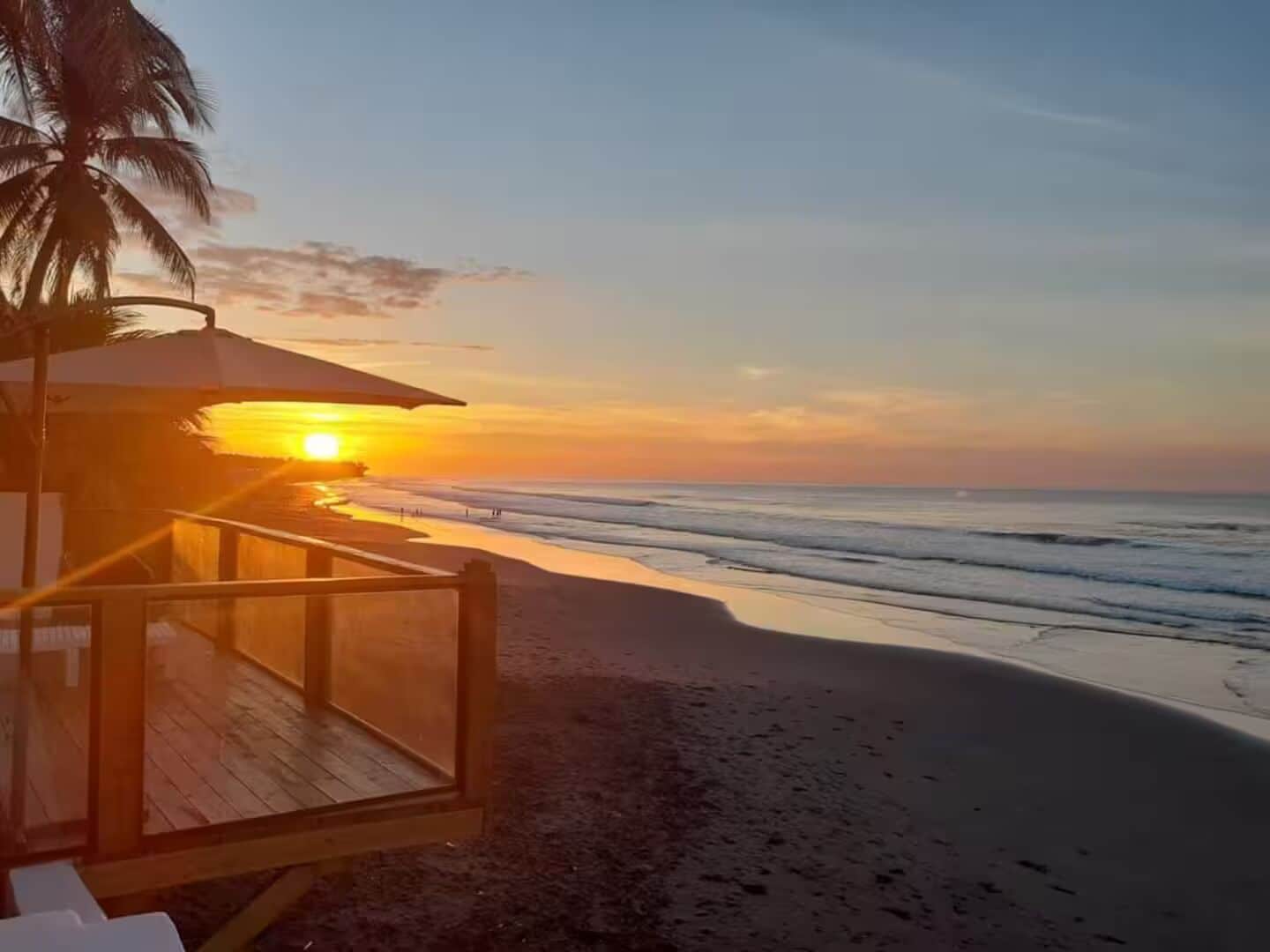 A beachside view with a wooden deck and a palm tree.