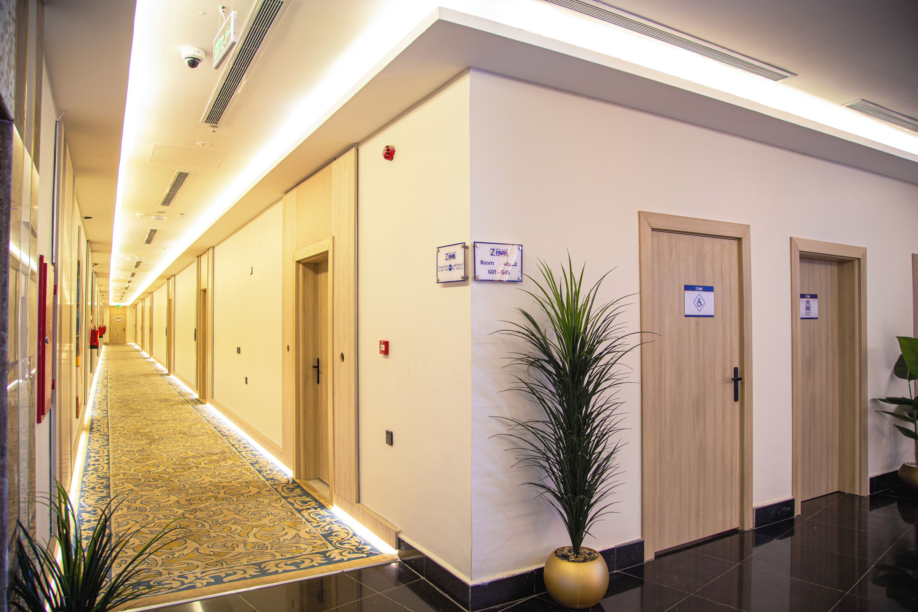Pasillo de hotel con piso alfombrado, puertas y una planta en maceta.
