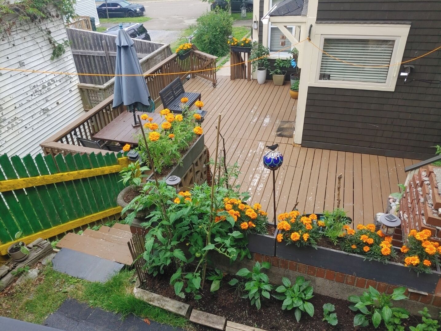 A wooden deck with raised flower beds, a green fence, and a house in the background.