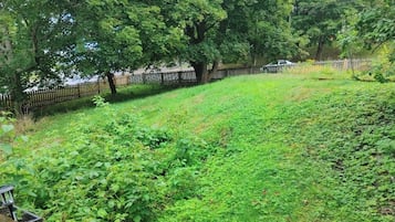 Ein üppiger, grüner Garten mit Holzpflanzung, Bäumen und einem Weg.