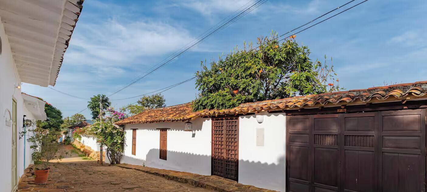 A narrow street with white buildings, a tree with orange flowers, and a brown garage door.