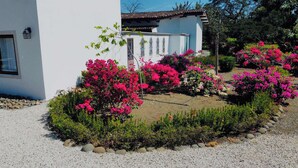 Un edificio blanco con jardín, con buganvillas rosadas y otras plantas.