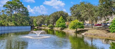Property amenity