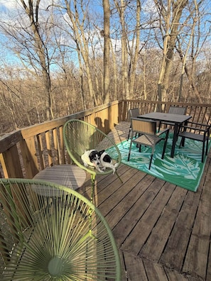 Outdoor dining - Groovy Galena Getaway a retro cabin in the woods (Galena)