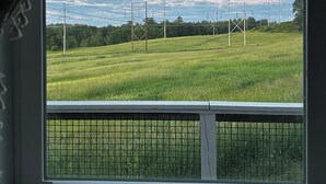 A view through a window with a metal grid, a grassy field, and power lines in the distance.