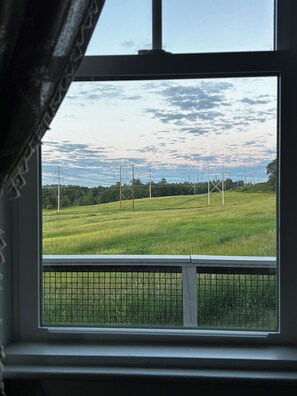 A view through a window with a metal grid, a grassy field, and power lines in the distance.