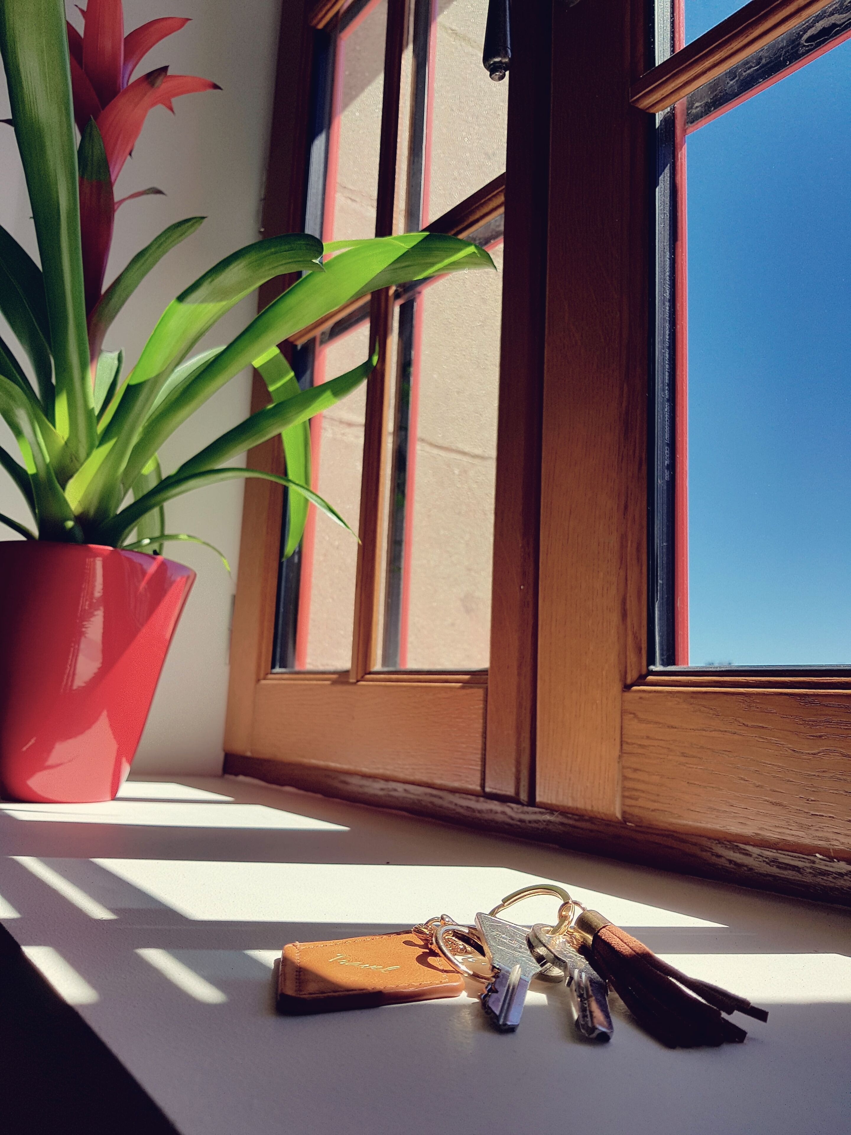 A window sill with a potted plant and a set of keys.