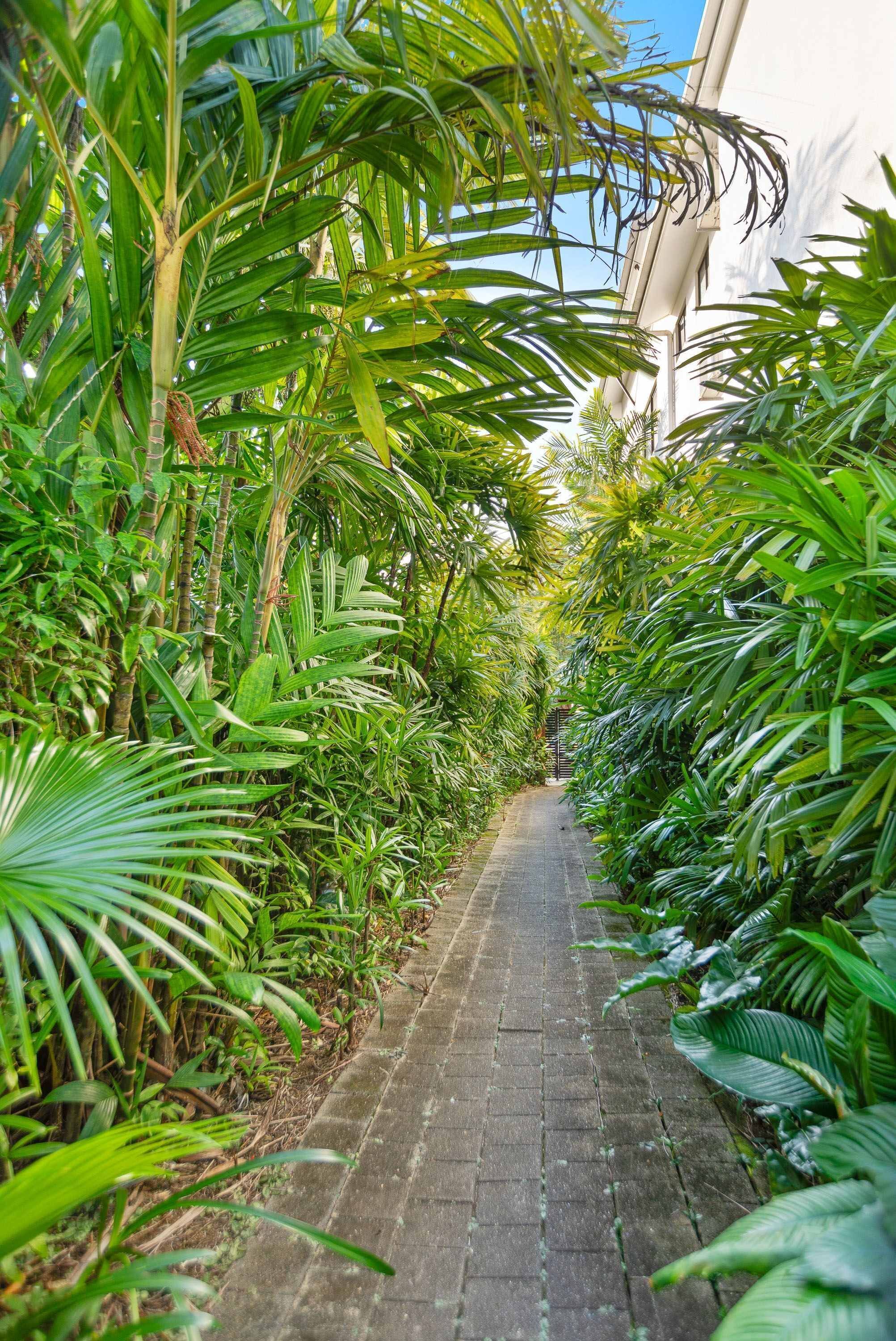 A pathway flanked by lush tropical foliage, leading towards a building with a white facade.