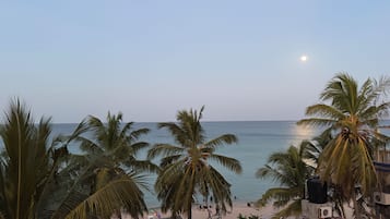 A beach view with palm trees and a clear sky.