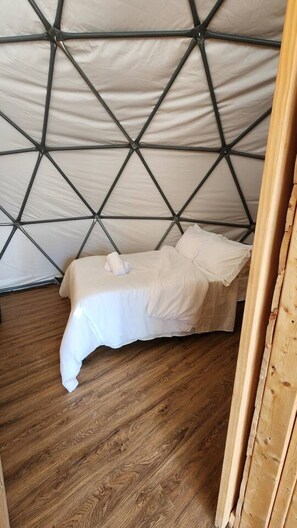 Room - Paradise - Honey, I`m dome (Paradise)