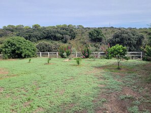 Ein grasbewachsenes Feld mit einem Holzzaun und Bäumen im Hintergrund.