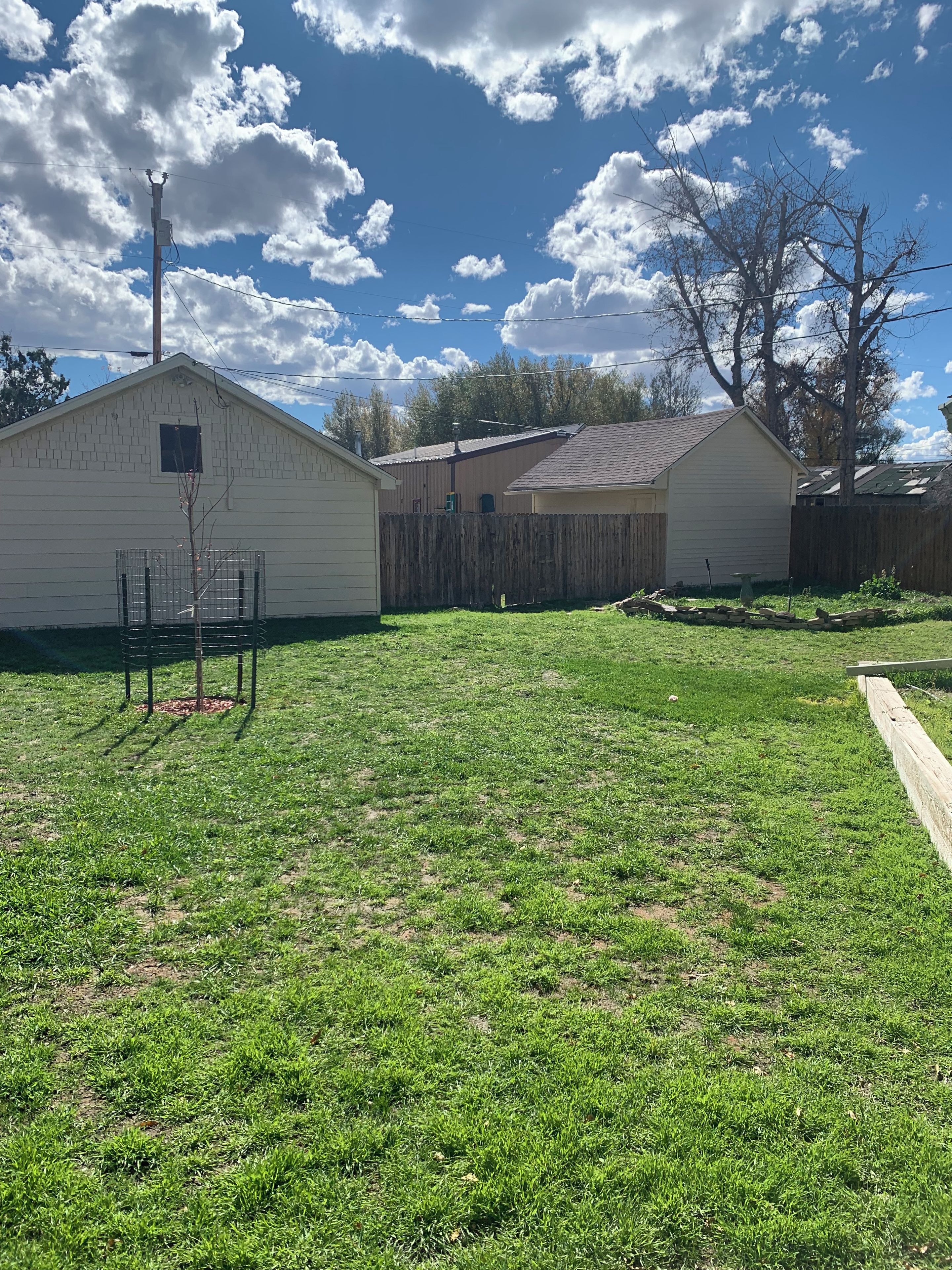 A grassy backyard with a wooden fence, a shed, and a utility pole.